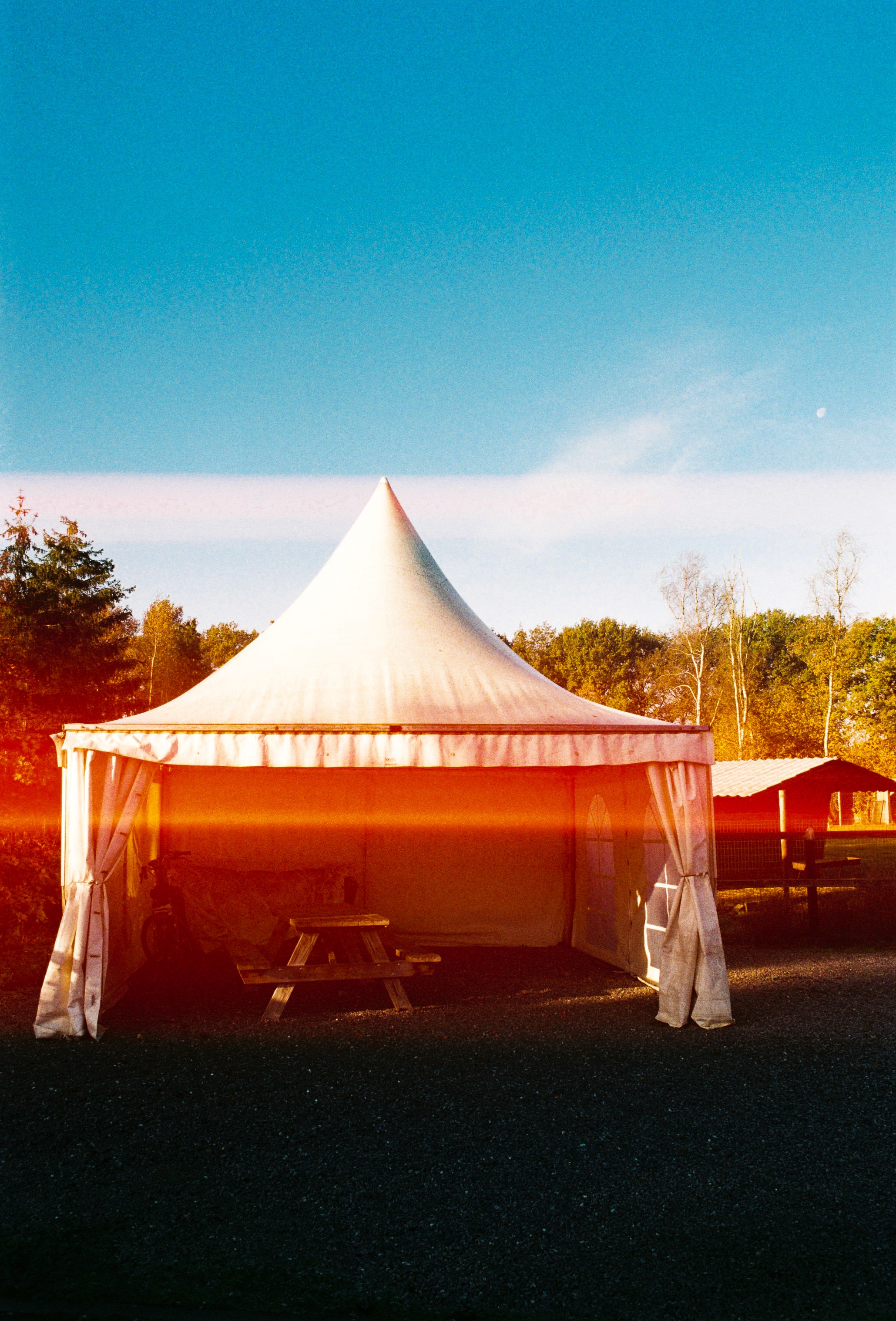 Tent Rental